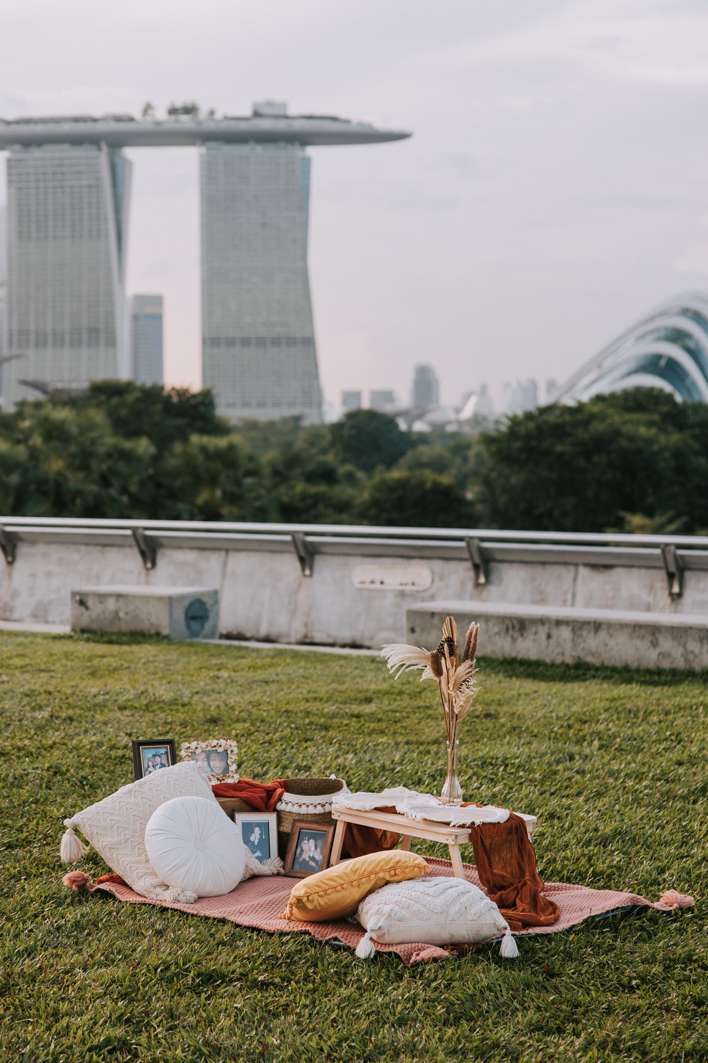 Picnic Proposal with view of Marina Bay Sands