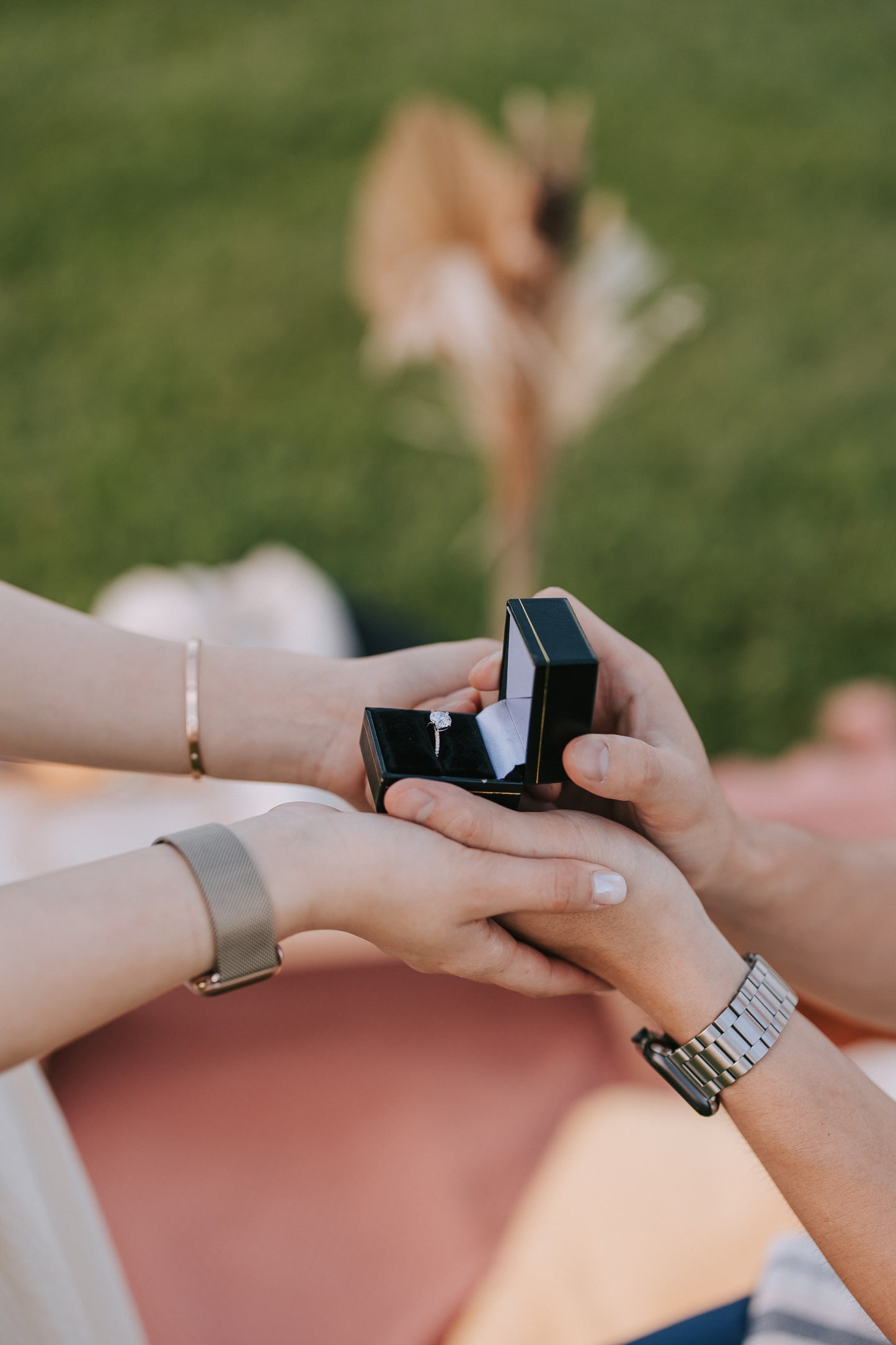 Picnic Proposal with view of Marina Bay Sands